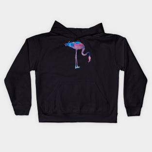 Flamingo Kids Hoodie